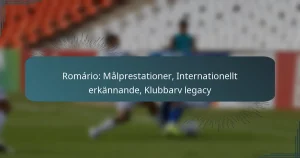 Romário: Målprestationer, Internationellt erkännande, Klubbarv legacy