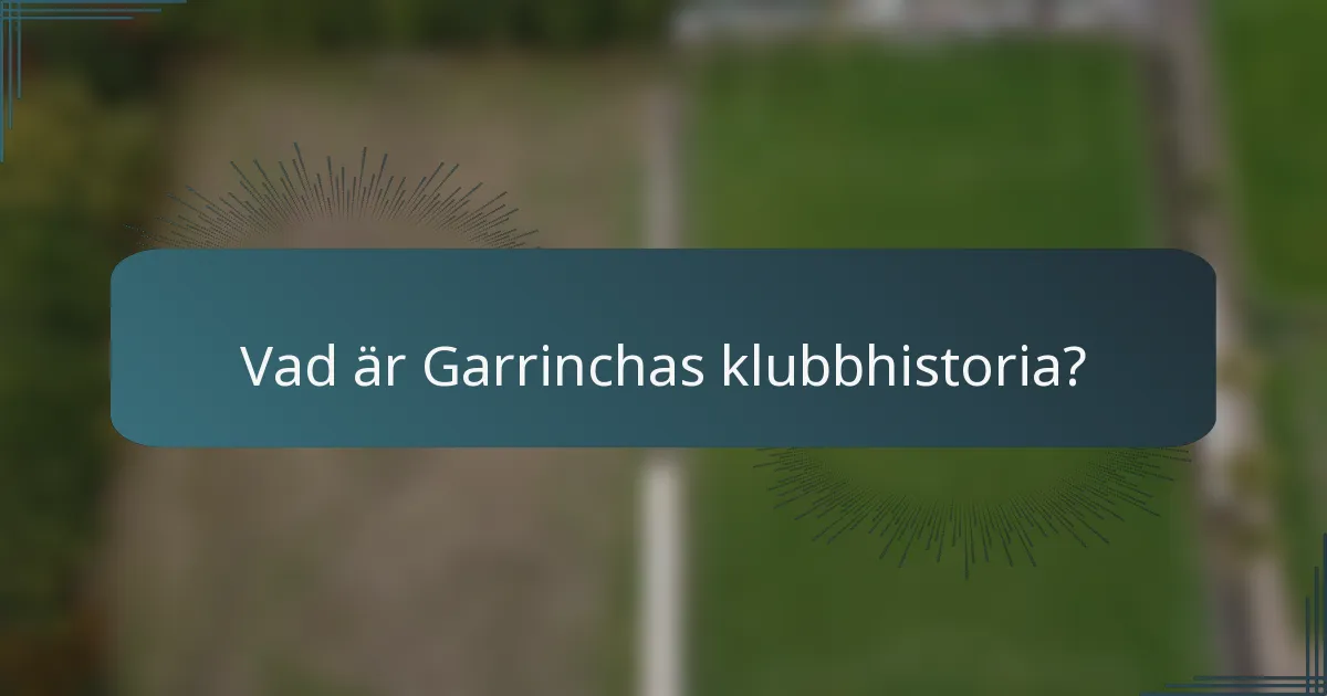 Vad är Garrinchas klubbhistoria?