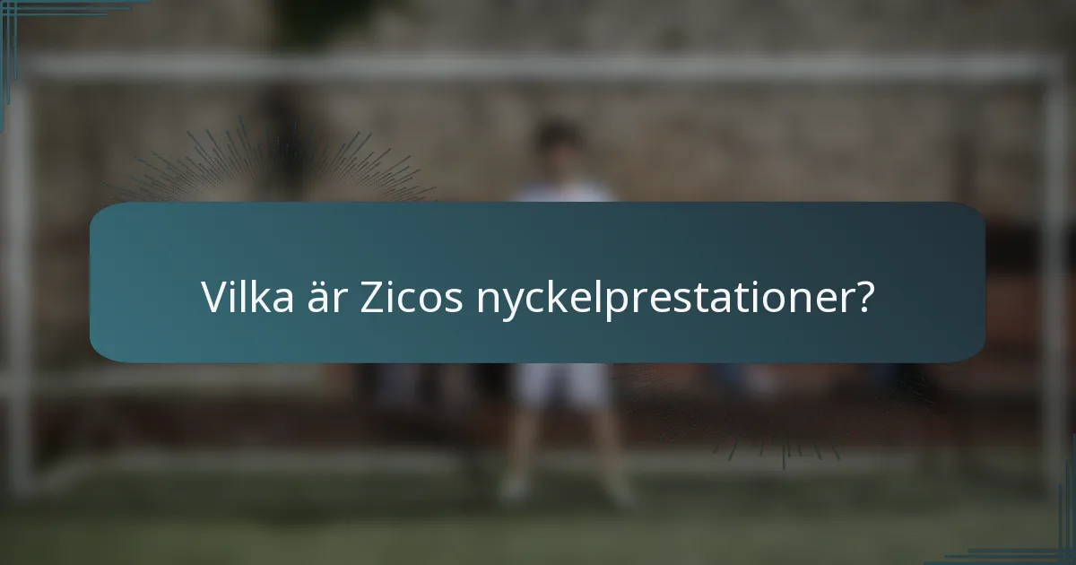 Vilka är Zicos nyckelprestationer?