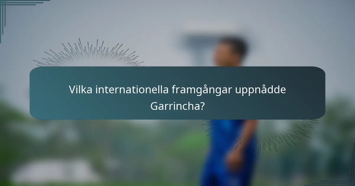 Vilka internationella framgångar uppnådde Garrincha?