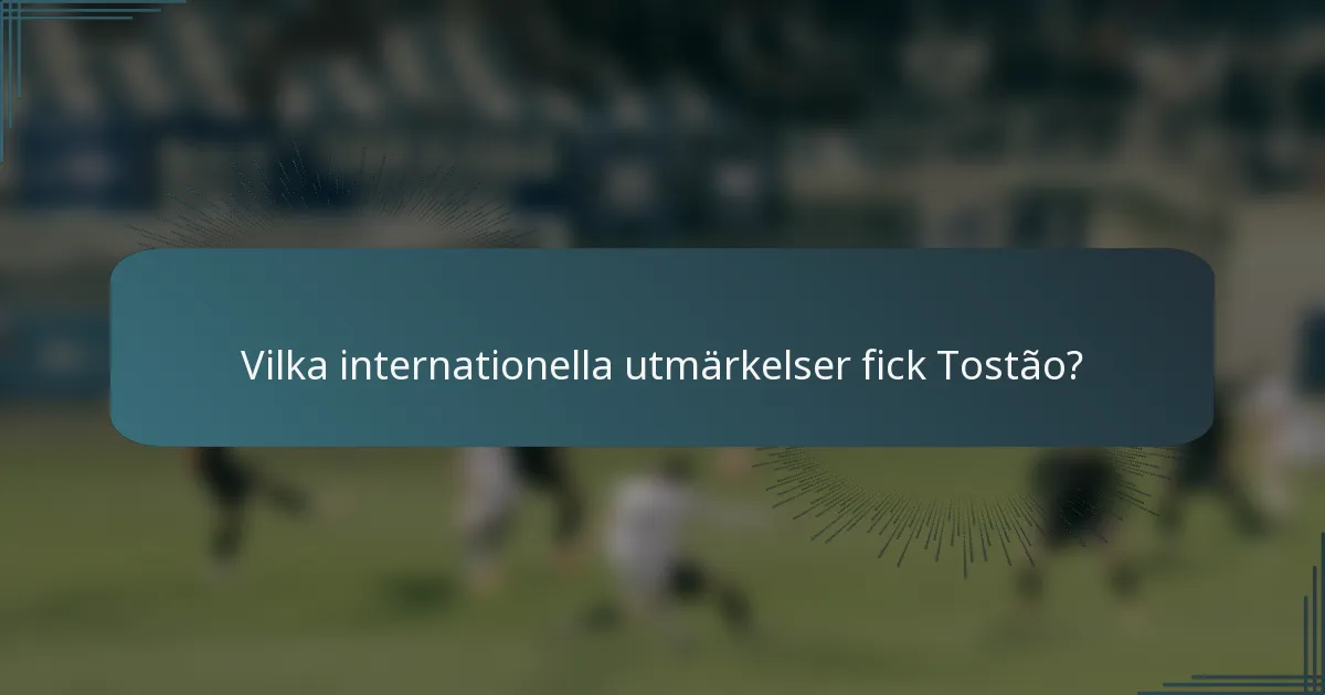 Vilka internationella utmärkelser fick Tostão?