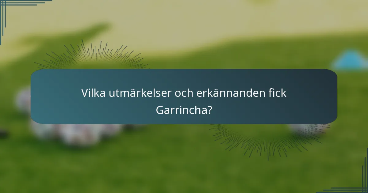 Vilka utmärkelser och erkännanden fick Garrincha?